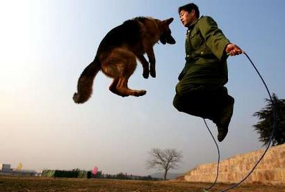 They can jump rope - Daily life - Crazy Gooooood!!!!!!!!!!
